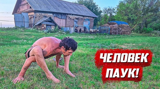 Всё пошло не по плану!