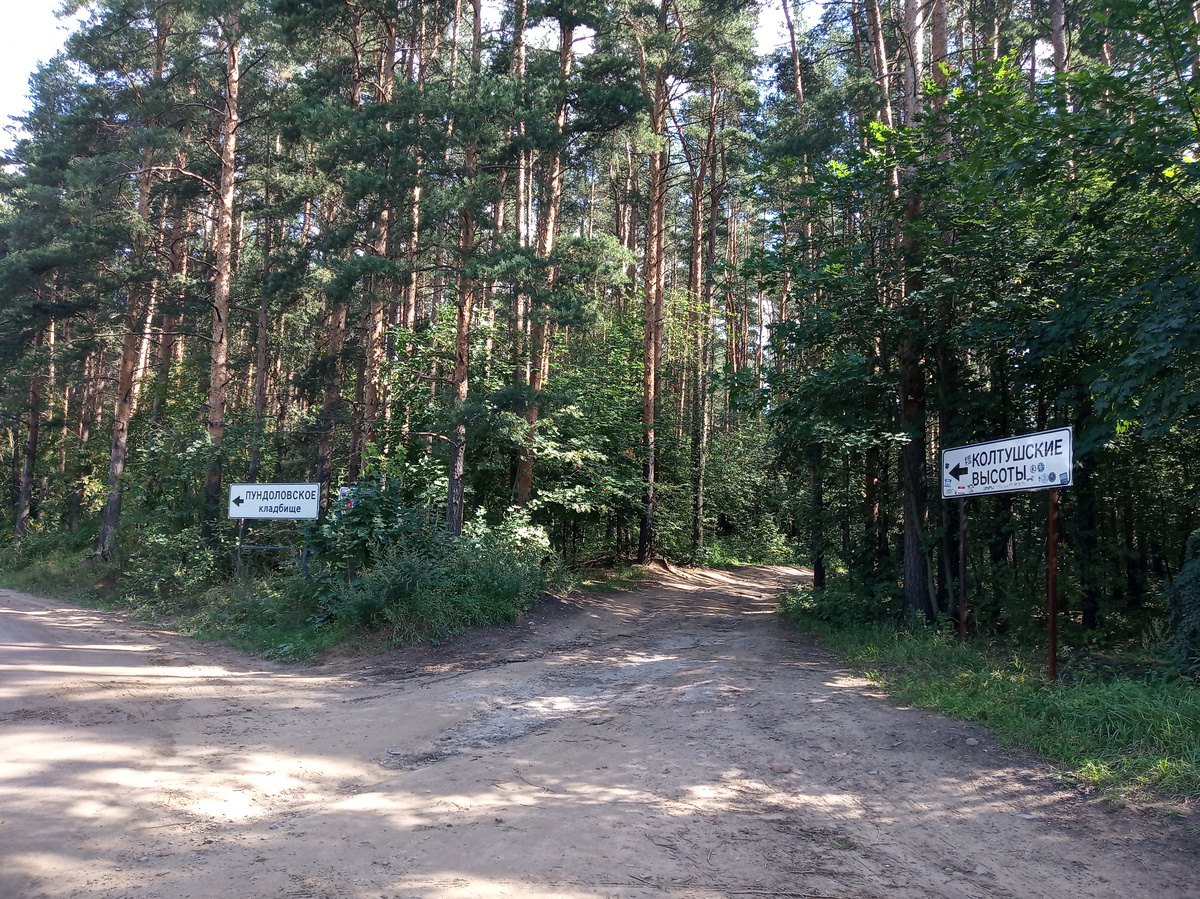 Указатель на Колтушские высоты и Пундоловское кладбище. Фото автора