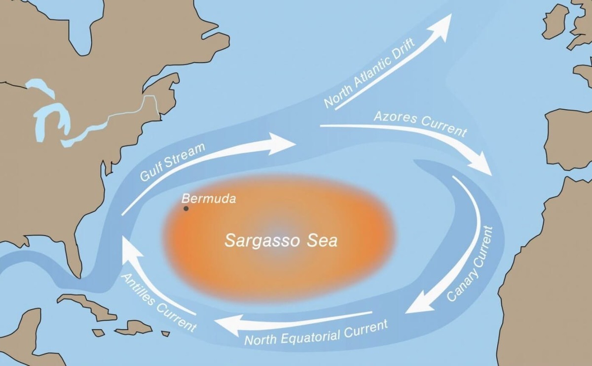    Саргассово море не имеет ни одного берега, потому что окружено океанскими течениями. Источник изображения: proartspb.ru
