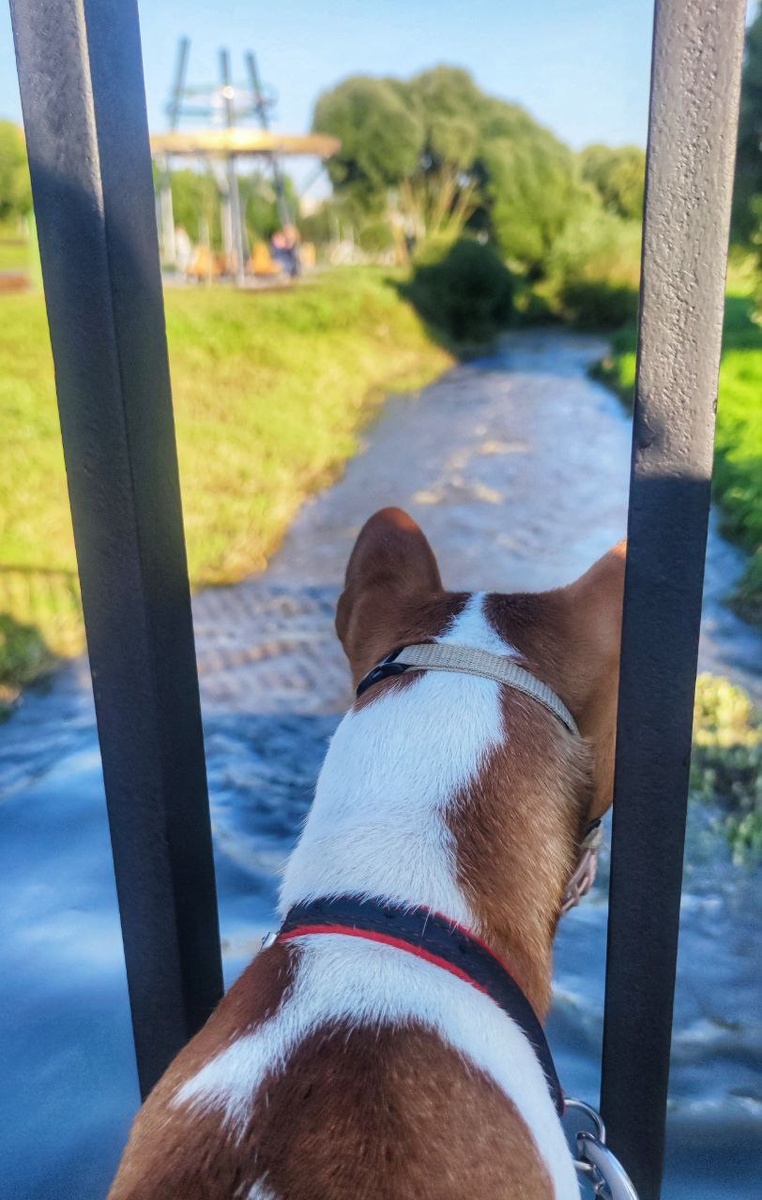 Муринский парк