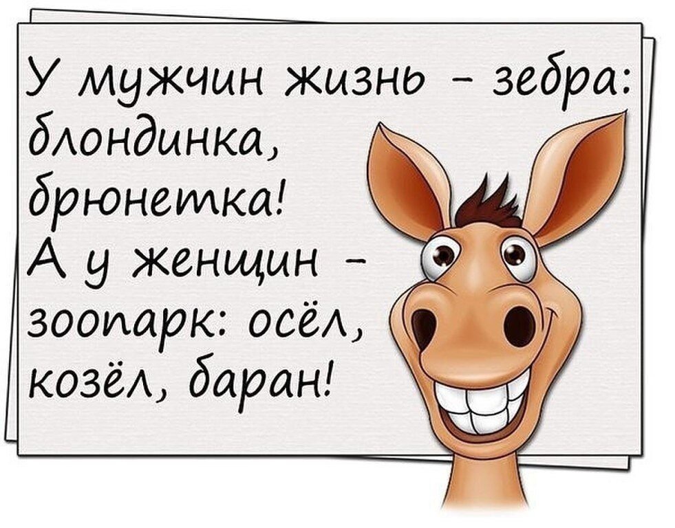 Шутки на всю жизнь. Шутки. Юмор в картинках. Юмор анекдоты. Шутка юмора