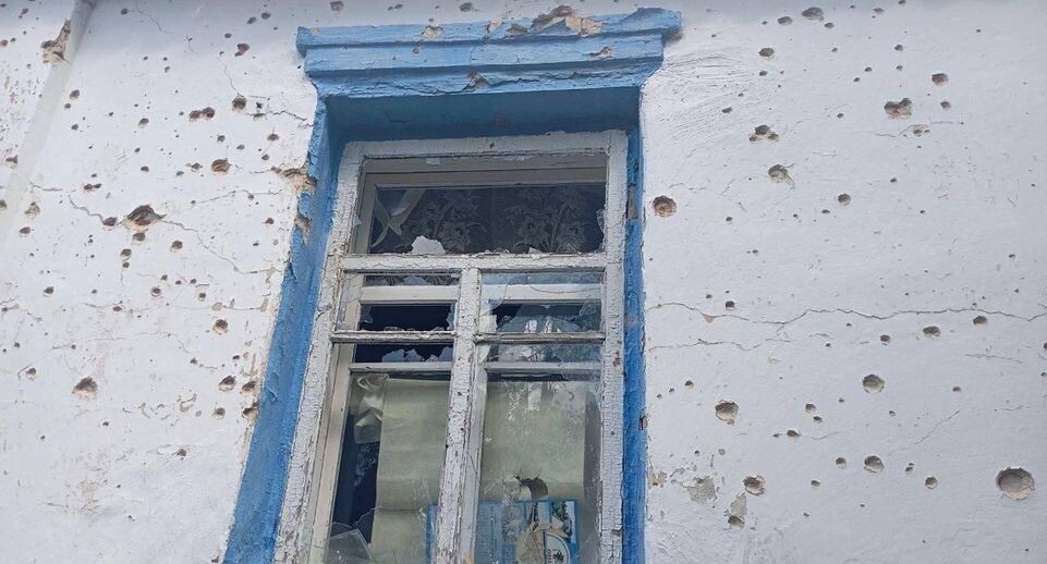    Губернатор Белгородской областью Вячеслав Гладков / Telegram