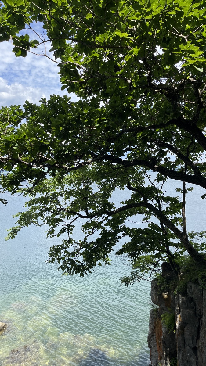 ( Фото автора )