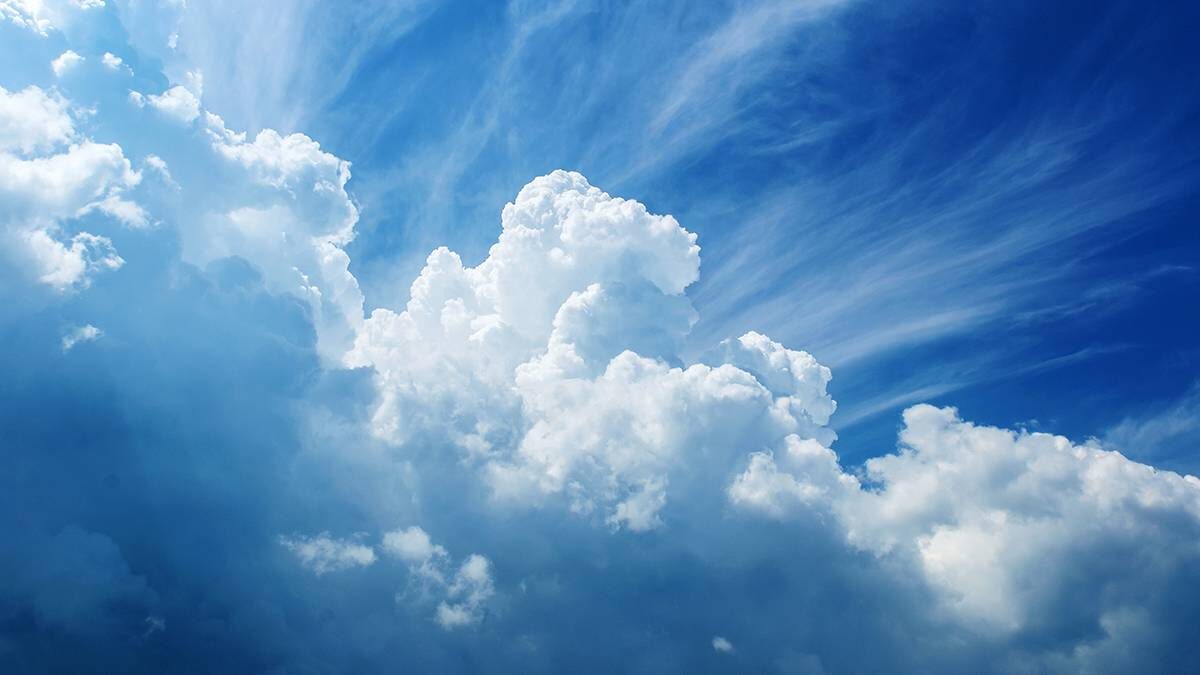    Фото: Shutterstock