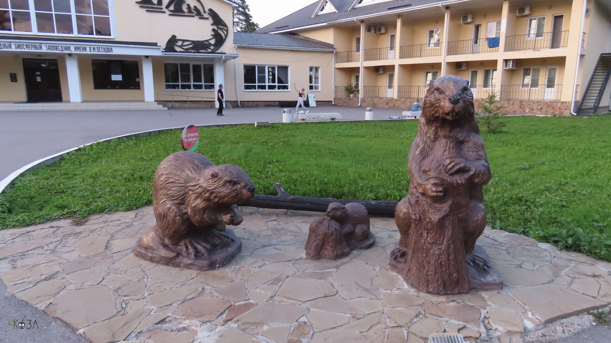 Скульптуры бобров, на заднем плане - музей природы, там же гостиница и кафе.