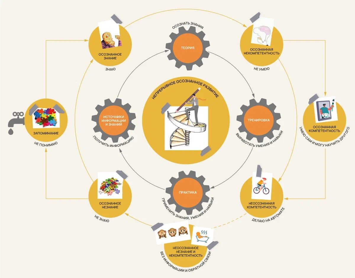 Рис. 1. Непрерывное осознанное развитие, или Непрерывный учебный процесс полного цикла