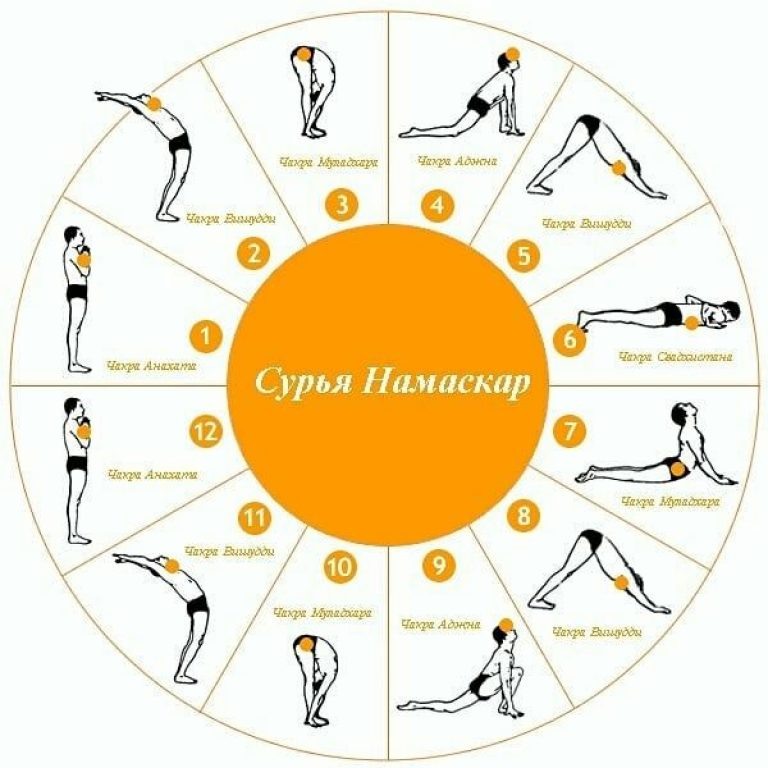 108 кругов сурья намаскара. 108 кругов сурья намаскар. Центр йоги "крылья совершенства" фото секты. Сурья намаскар 108 комплекс. Сурья намаскар для начинающих в картинках пошагово.