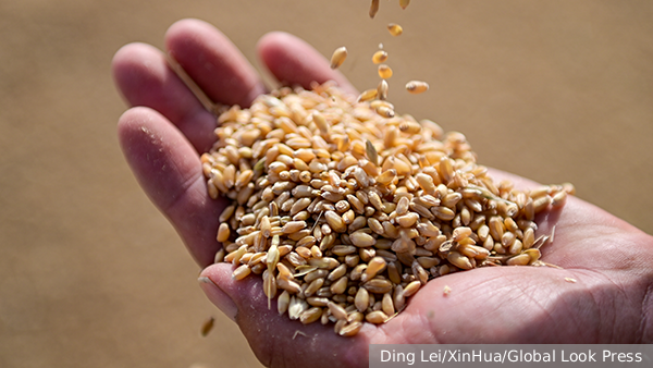     Фото: Ding Lei/XinHua/Global Look Press   
 Текст: Алексей Дегтярев