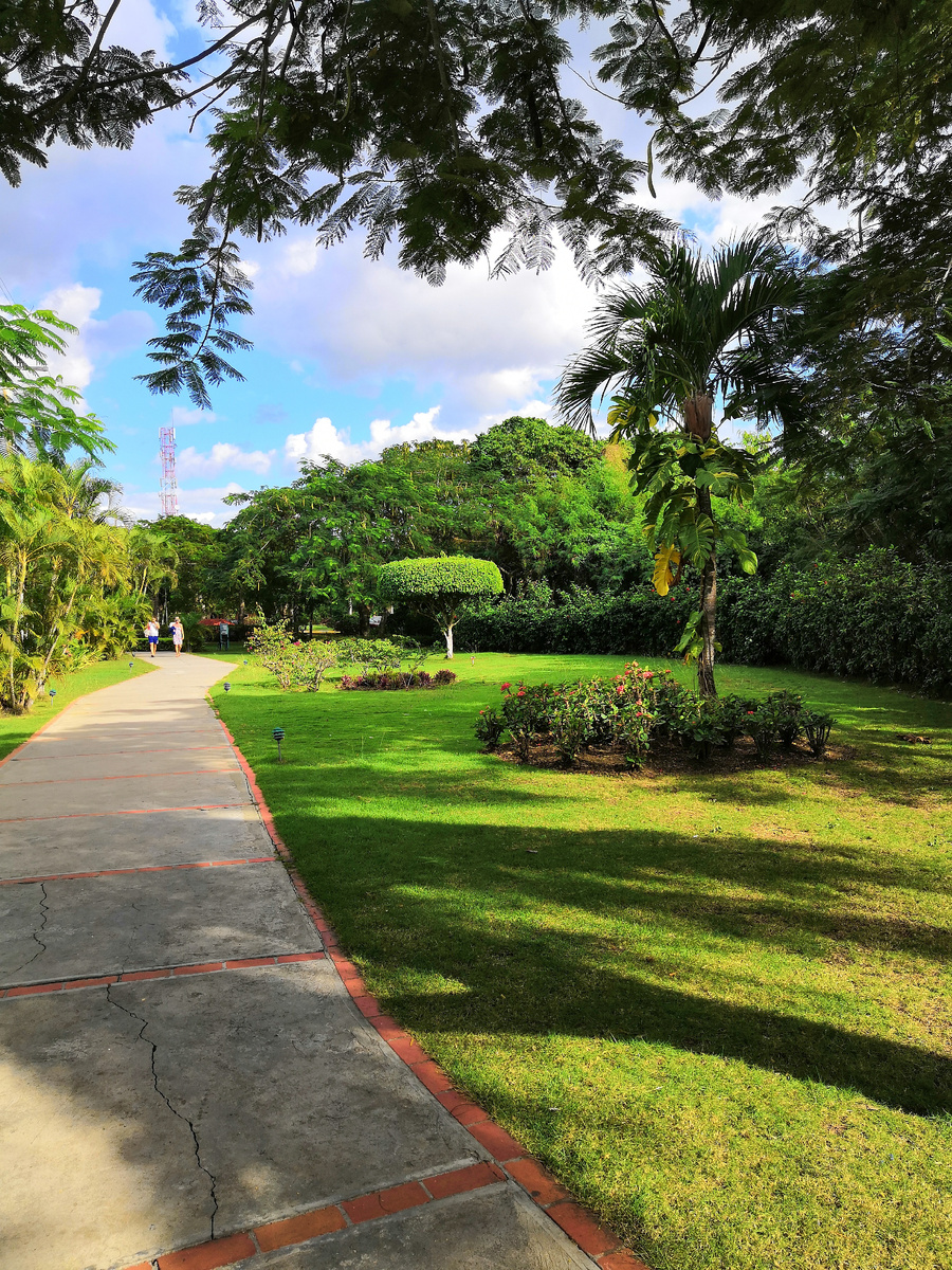 Дорога на пляж 🌊☀ (фото из личного архива) 