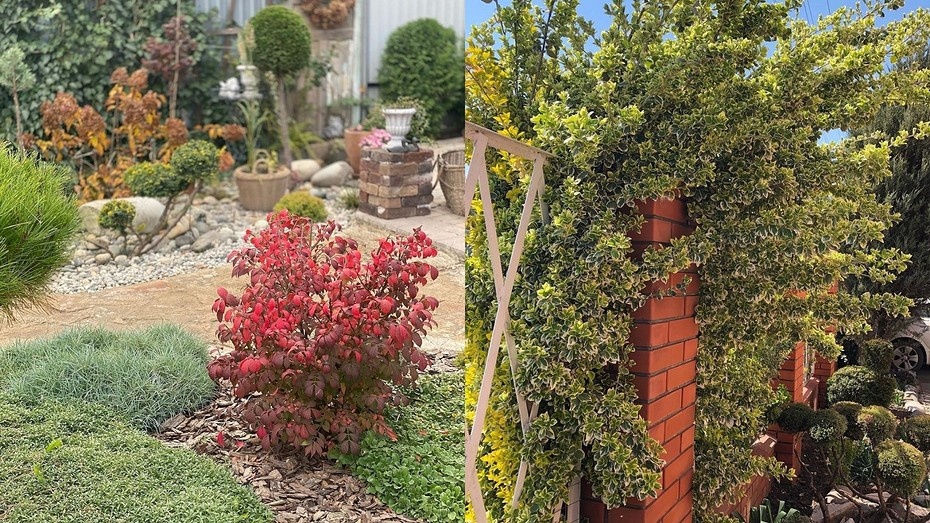 Соцсети блогеров samoxana (слева) и sukhomlinova.sasha (справа) 