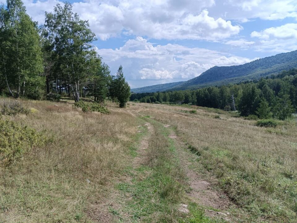    Поиски пропавших на Синюхе. Источник: СУ СК России по Алтайскому краю