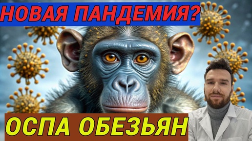 Оспа обезьян. Новая пандемия? Что нужно знать об оспе обезьян в 2024г