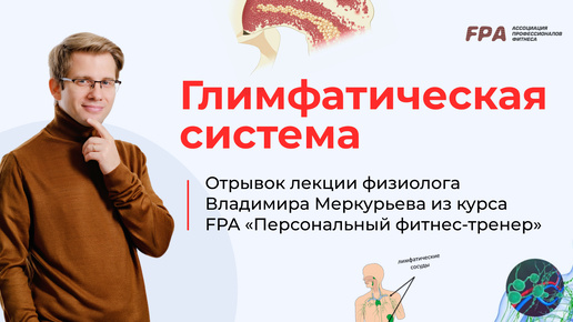 Download Video: Глимфатическая система | Владимир Меркурьев (FPA)