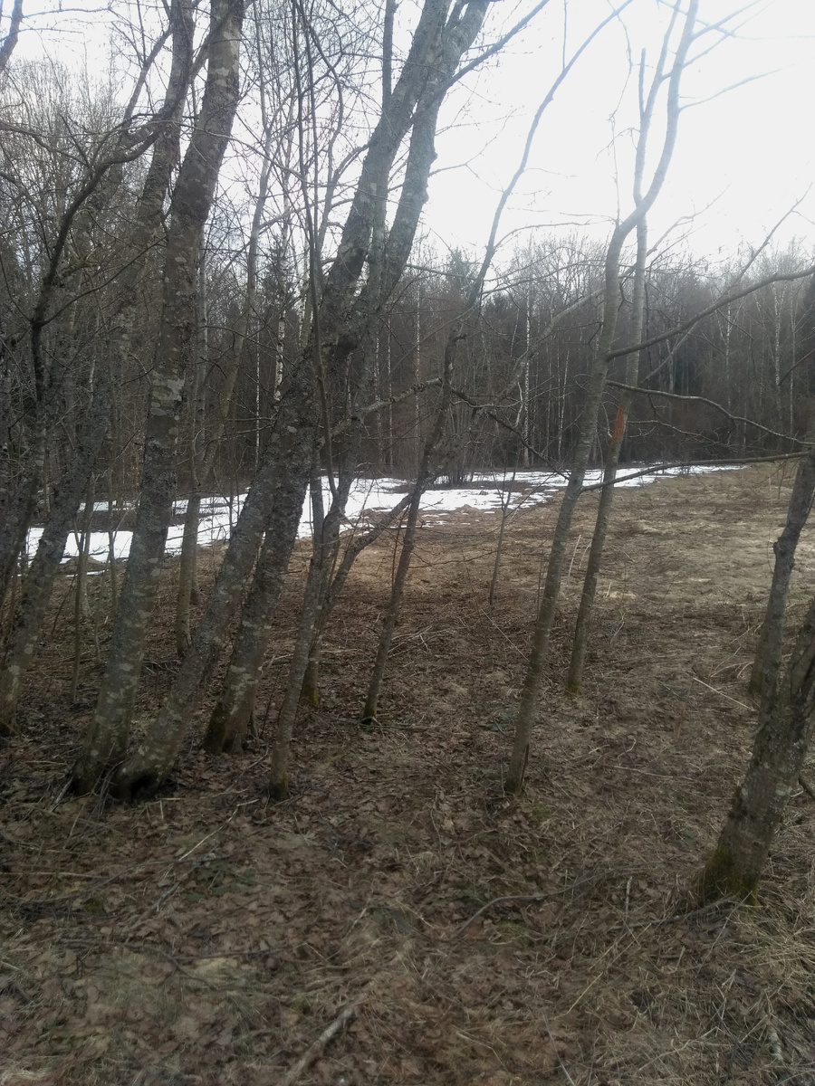 Сейчас все это в траве.