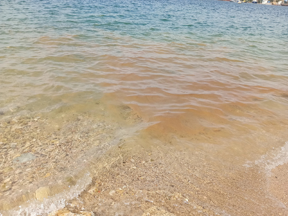 Море Черное