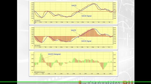 Видео учебник технического анализа - осциллятор - MACD