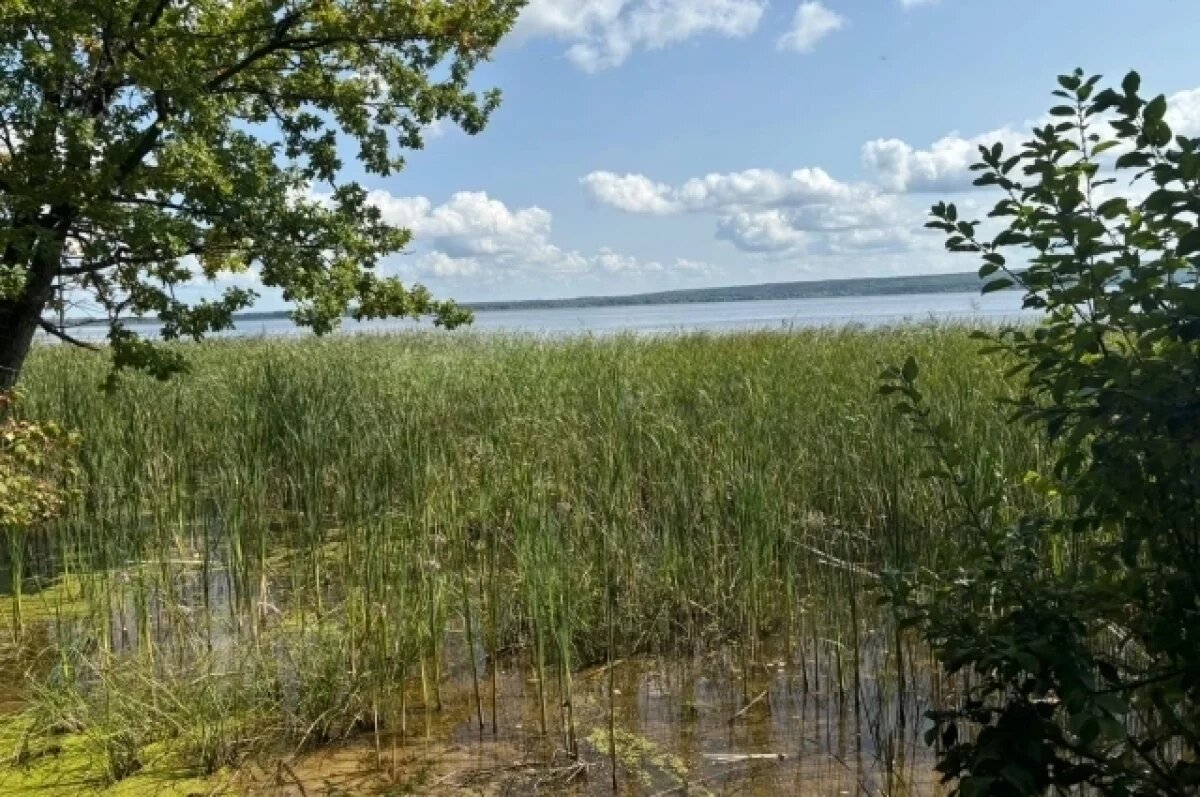    В Пензенской области 44-летний мужчина пошел купаться и не вернулся