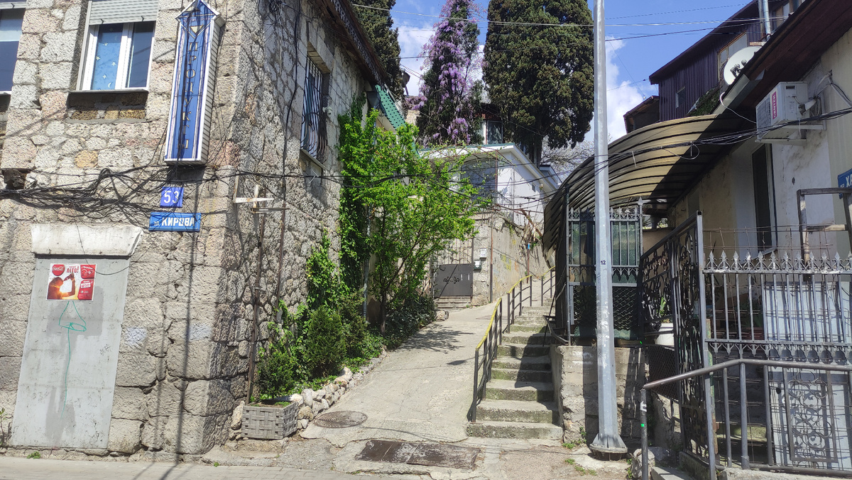 Кирова, 57. Вдали видно огромную Глицинию, она забралась высоко, до макушки дерева