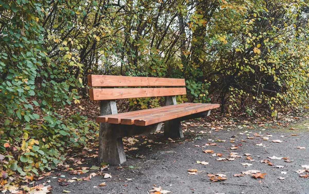 Яндекс. Картинки.