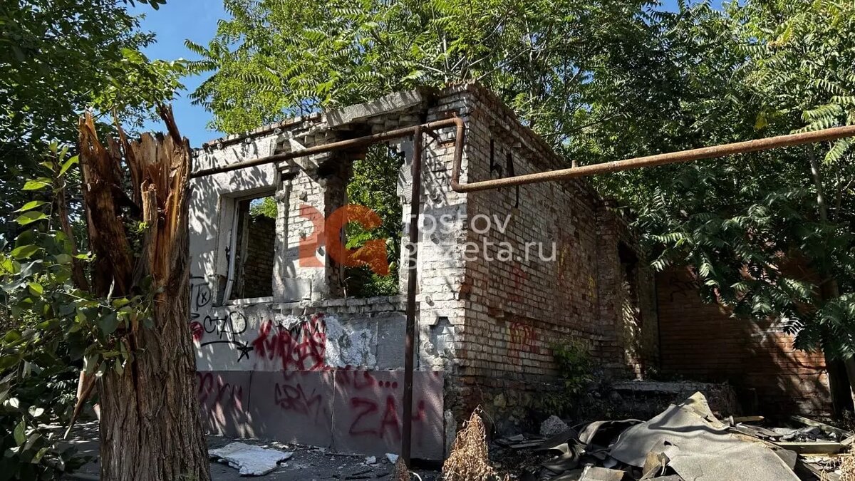     Источник: rostovgazeta.ru