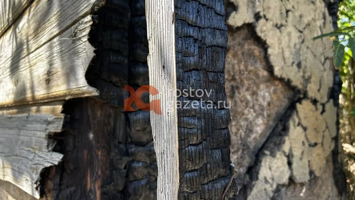     Источник: rostovgazeta.ru