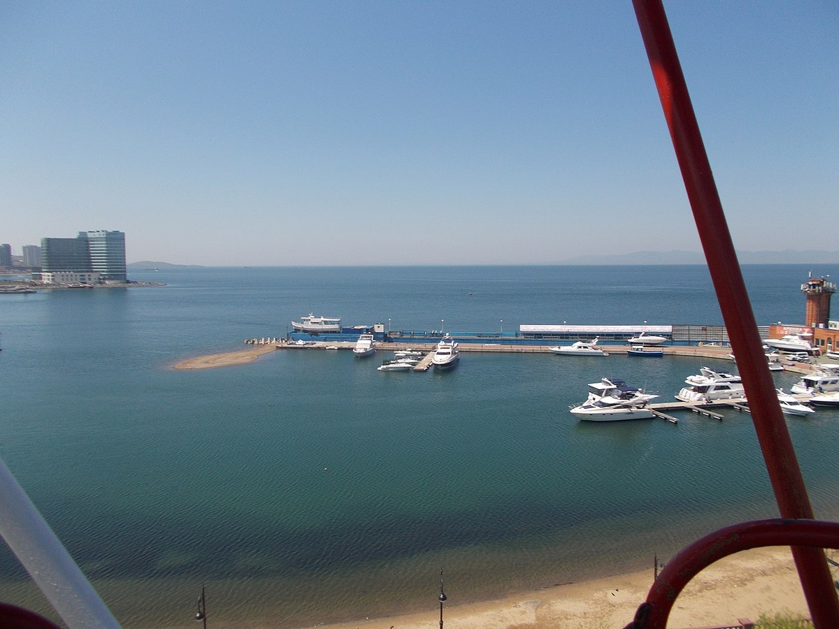 Источник: wikipedia.org Автор: Оксана Максимова CC BY-SA 4.0 