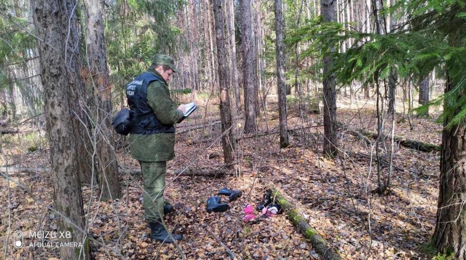 Фото с места происшествия. Предоставлено СК РФ по Владимирской области. 