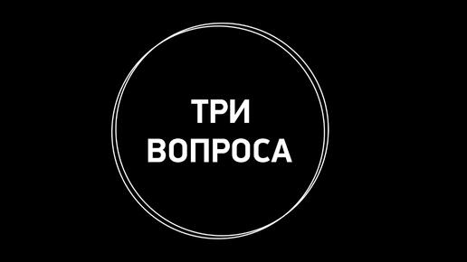 Три вопроса руководителю автошколы «Авто-профи»