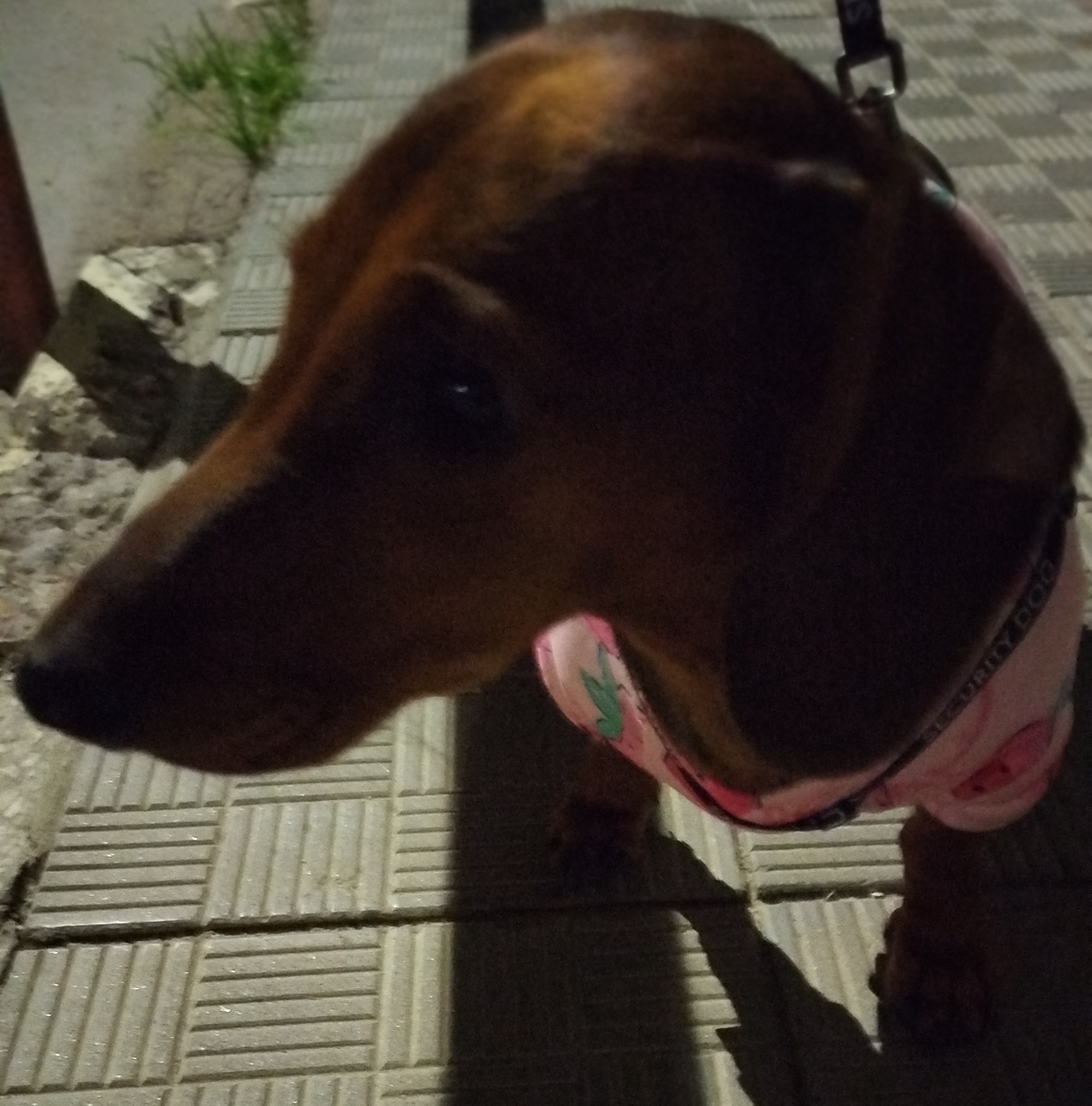 опять шастаем по темноте. Вечерами стало довольно прохладно, и мы немножко утеплились. 