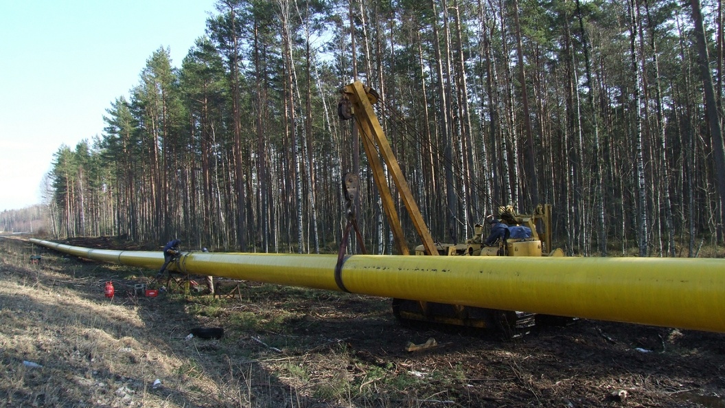    Victor Lisitsyn/Globallookpress