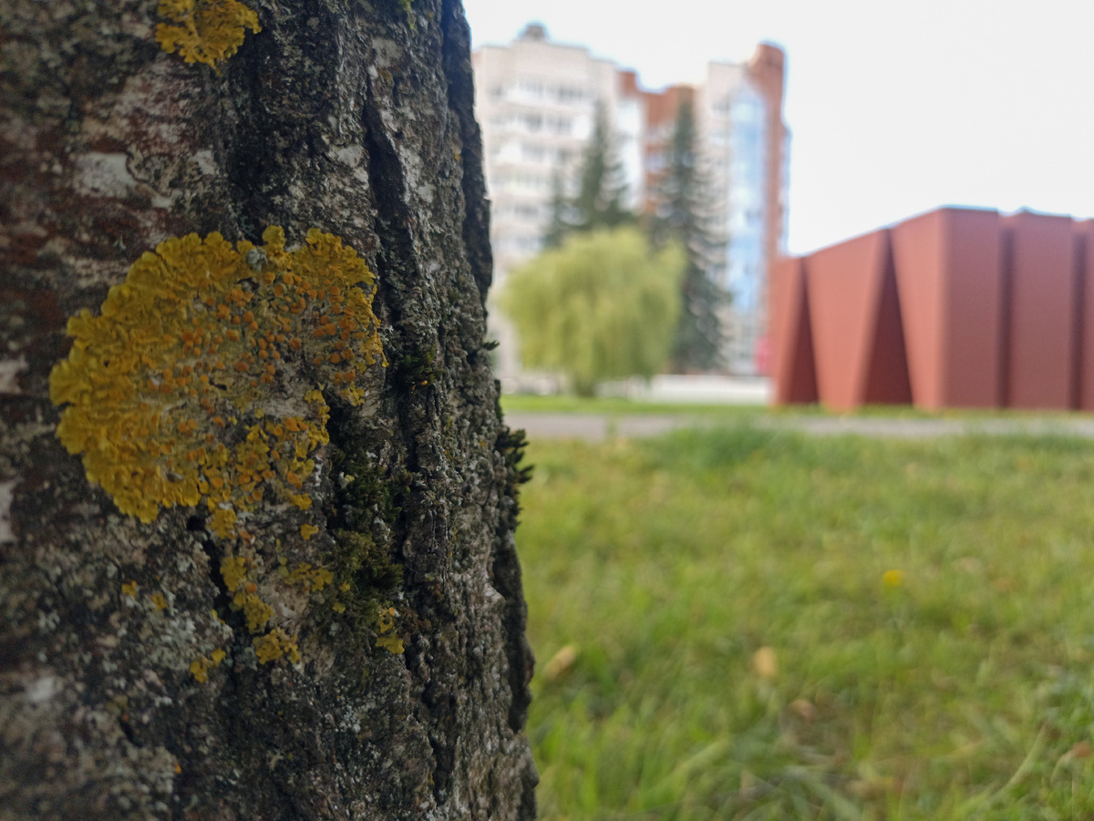 Немного городской среды
На заднем плане Мемориальное кладбище, на котором захоронено 45 тысяч военнопленных и мирных жителей.