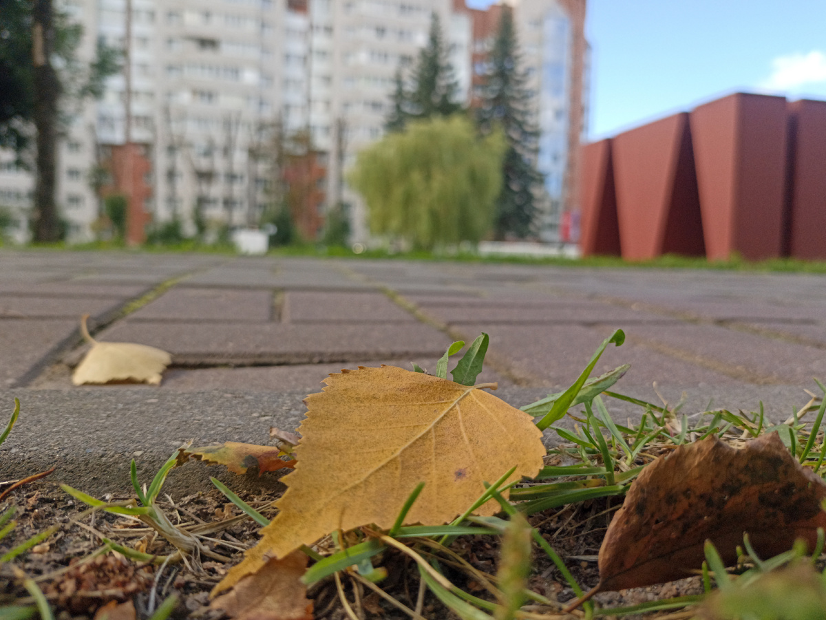 Немного городской среды
На заднем плане Мемориальное кладбище, на котором захоронено 45 тысяч военнопленных и мирных жителей. Листайте галерею