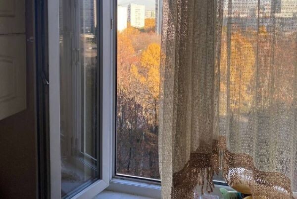    Фото: СК Москвы Екатерина Шахнина