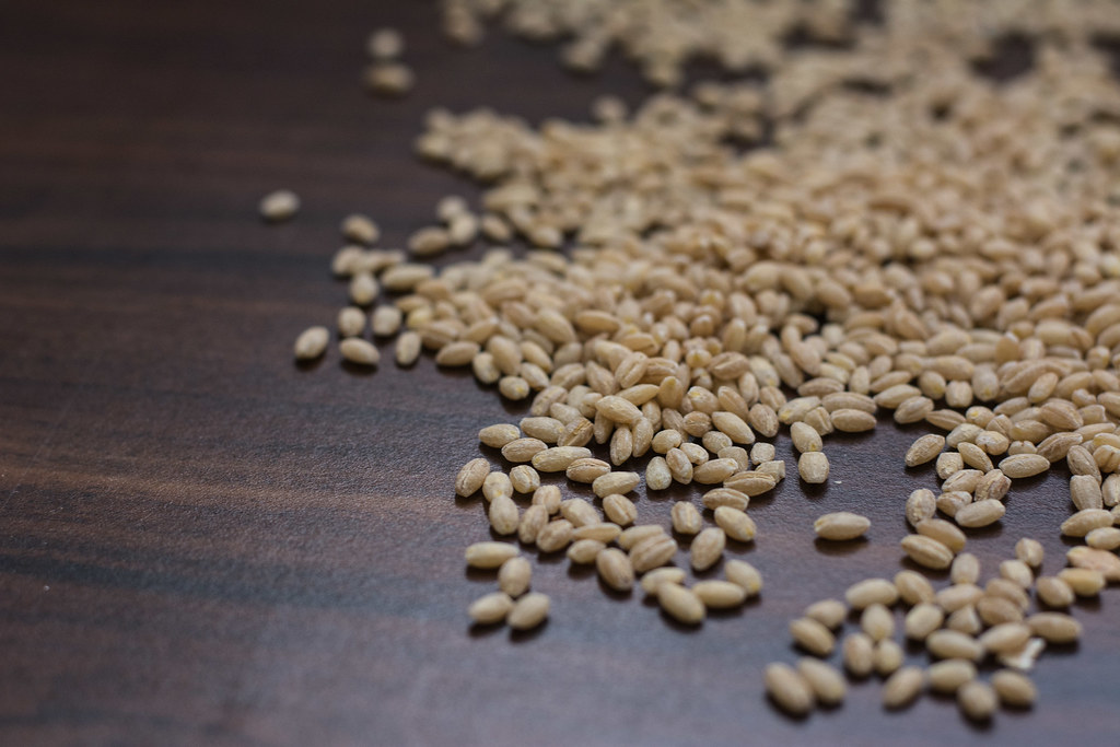 Фото: osu.food.dictionary / Wordpress.org / openverse