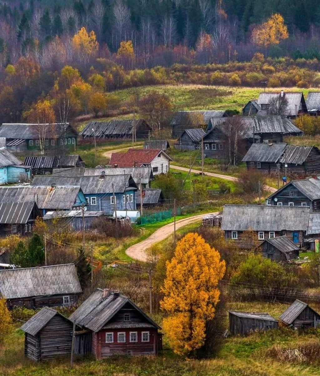 Сельская местность 