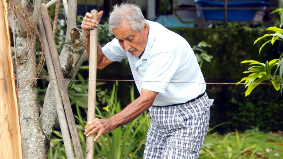 Как выяснить, правильно ли начислена пенсия: общий трудовой стаж