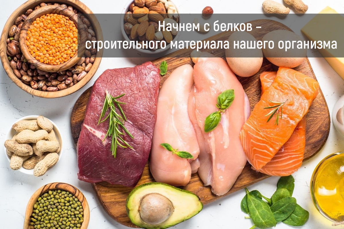 Белки – это наши друзья. Они строят мышцы, укрепляют кости, делают кожу упругой