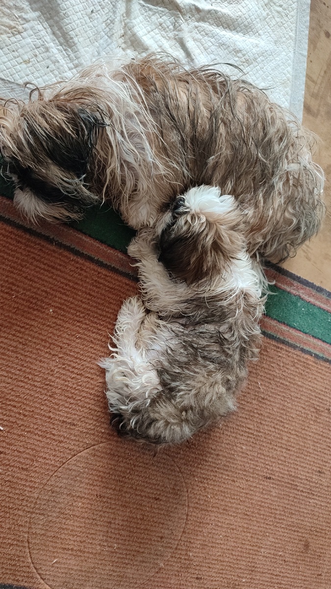 А это мы после дождичка в четверг