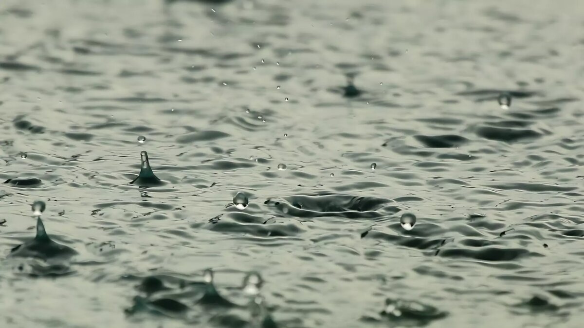     Источник: pxhere.com