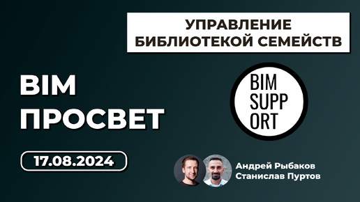 Как организовать работу с ревит библиотекой семейств. Андрей Рыбаков и Станислав Пуртов. BIM Просвет