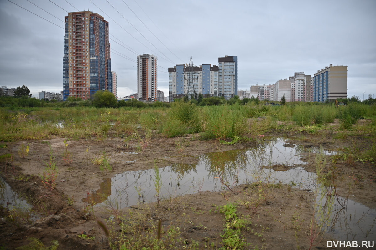    На месте бывшего озера вновь начала появляться вода