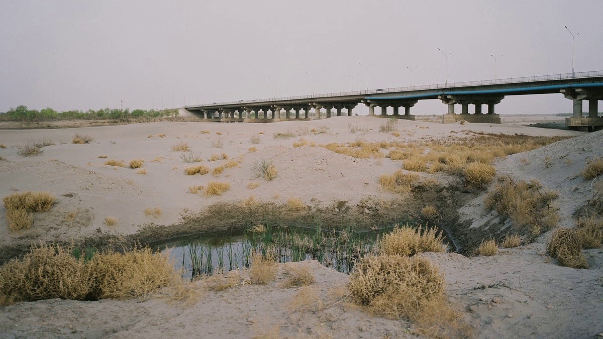 Конец Амударьи в районе г. Нукуса, Узбекистан, 2023 год/ © lenta.ru