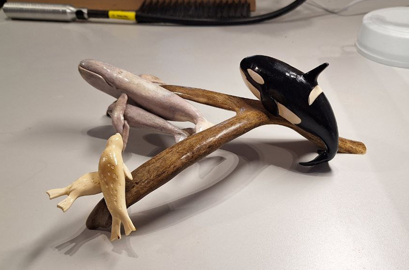 Фото: Александра Ныпевги 