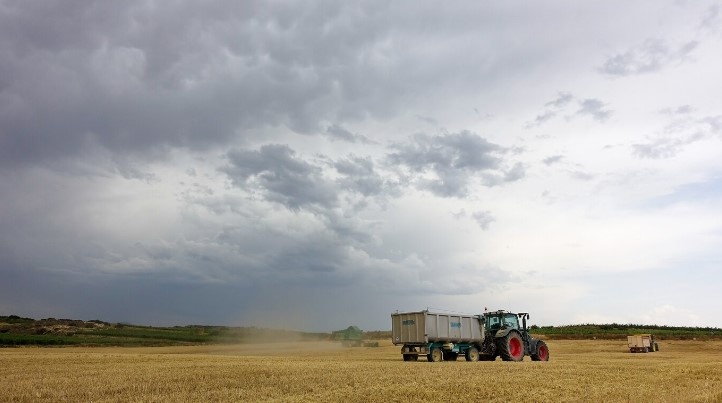    Фото: freepik.com/free-photo Анфиса Слепцова