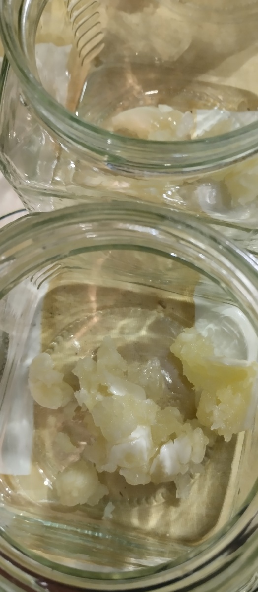 Сырой чеснок на дне банки.