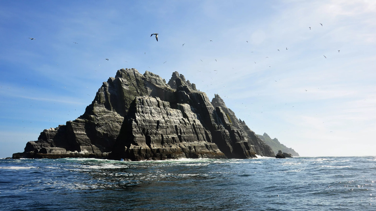 Яндекс картинки.