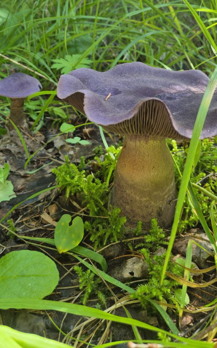 Фото: читатель URA.RU