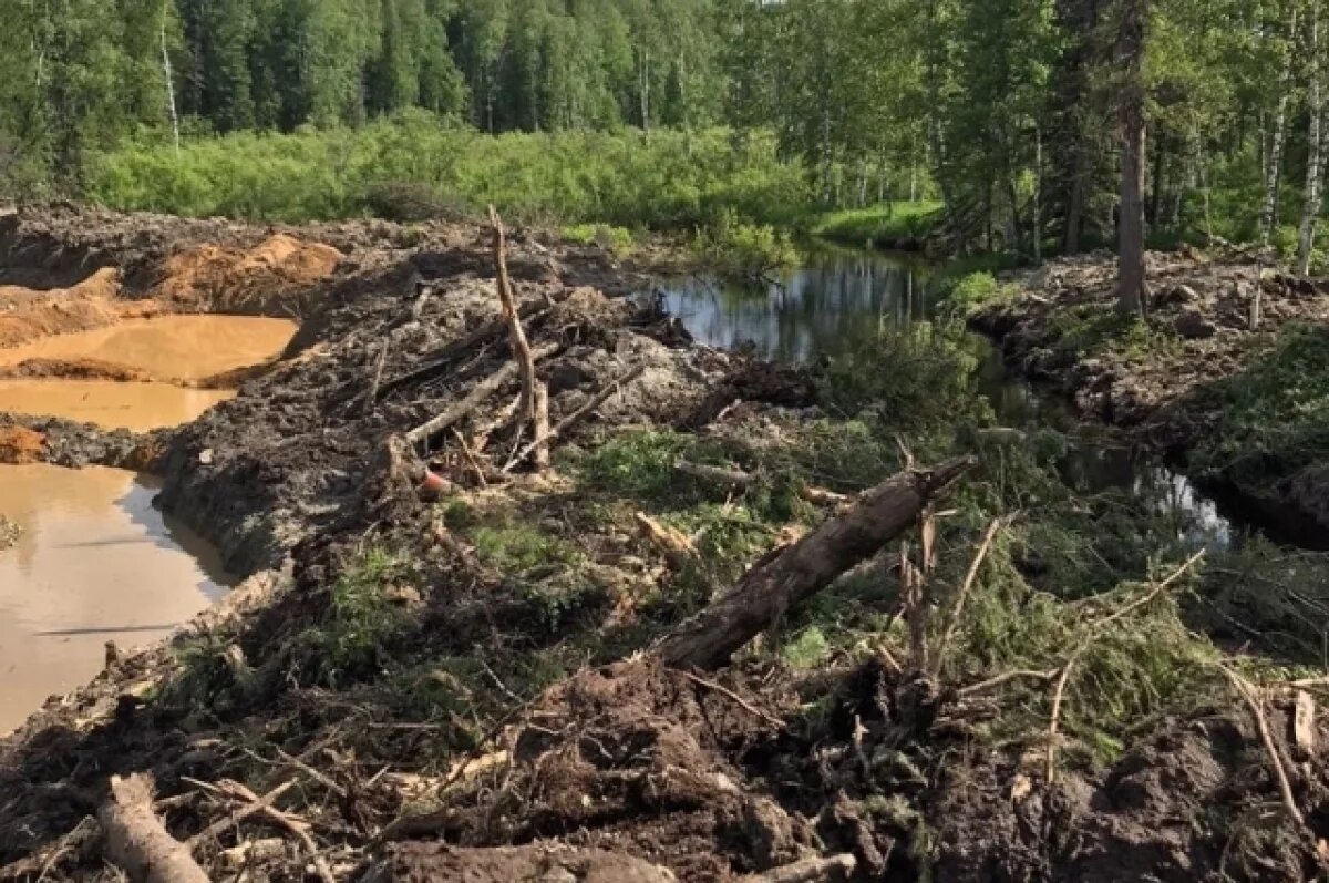   В Кузбассе лишили лицензии золотодобывающую компанию ООО «Хомутовский»