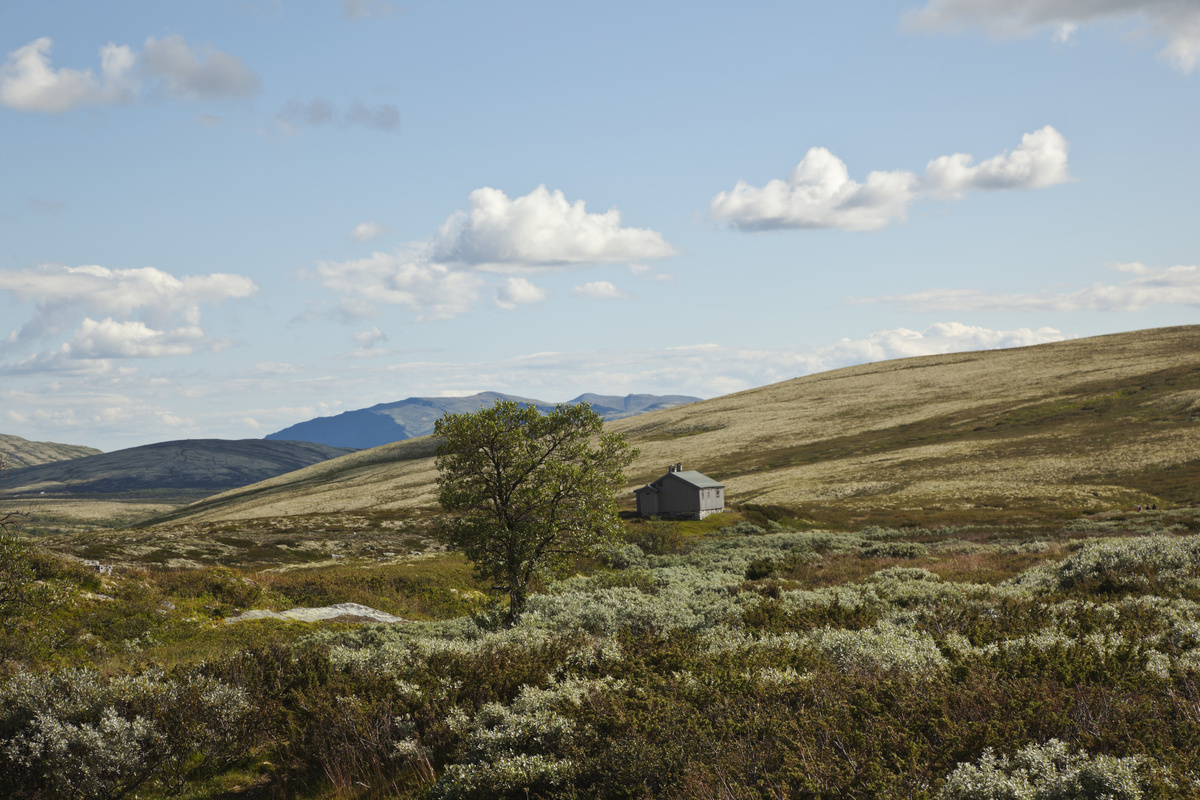 Фото: istock / Ekely