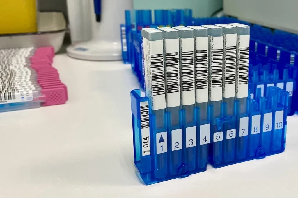 Фото: SterlitamakTime.ru / OOO «Уфатайм»